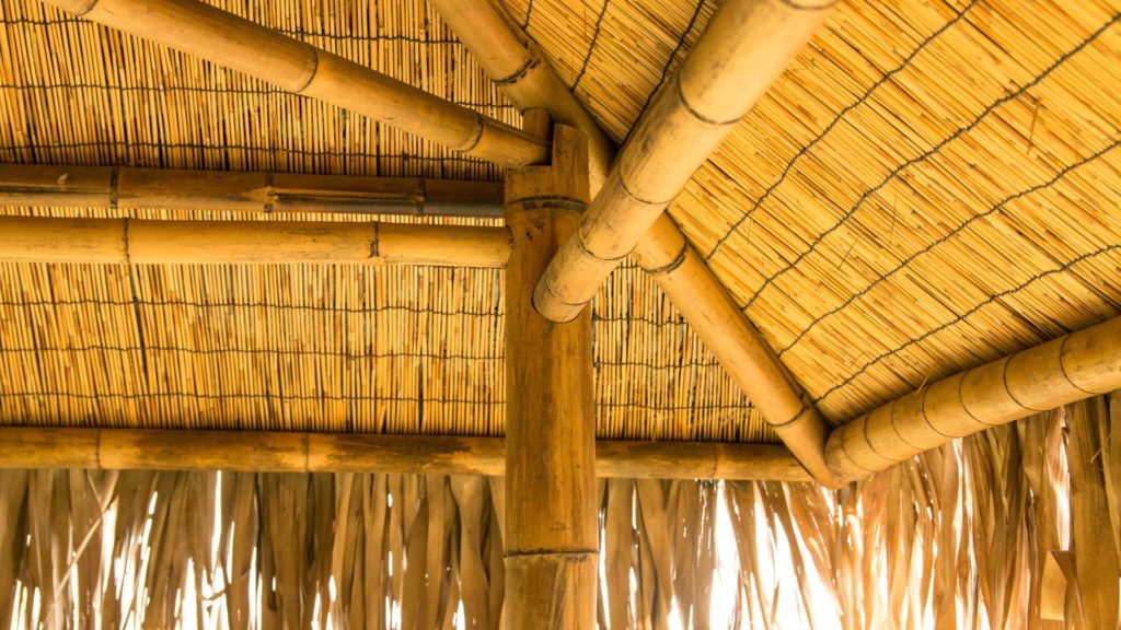 O bambu é muito resistente e muito usado na construção em várias partes do mundo.